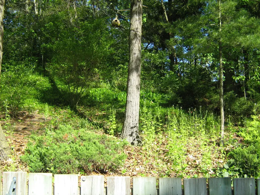 Backyard with no stone retaining wall installed